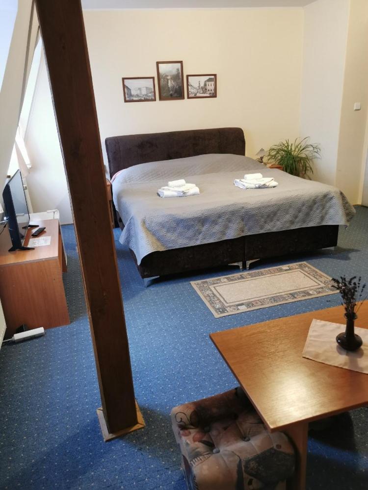 Hotel Alster Jevíčko Kültér fotó